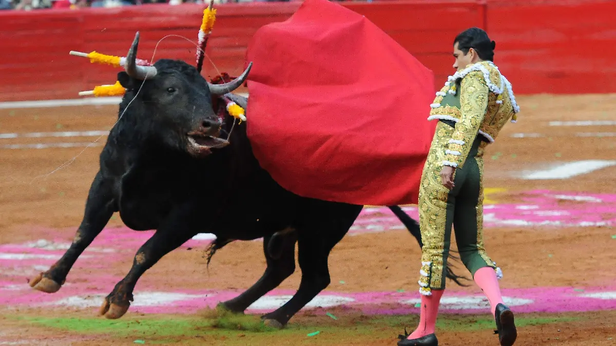 965005_Reapertura Plaza de Toros_impreso